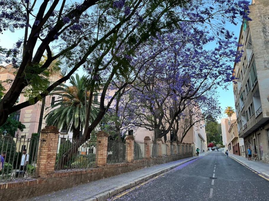 Apartamento Amar-Cura مالقة المظهر الخارجي الصورة