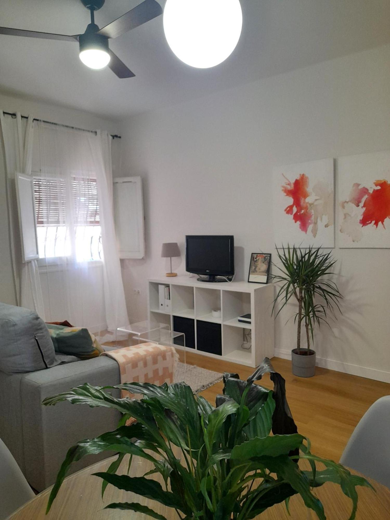 Apartamento Amar-Cura مالقة المظهر الخارجي الصورة